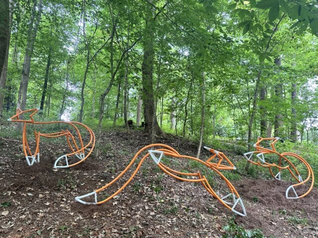 Surround Yourself in Summer Fun at the Holden Arboretum with the new Forest Forms Exhibit, Live Outdoor Concerts, and more!