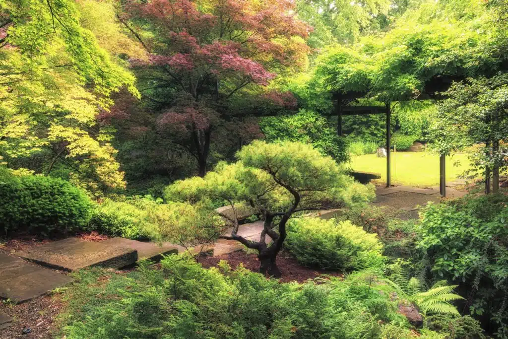 Zen Through the Lens: Capturing the Essence of a Japanese Garden