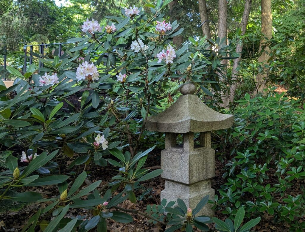 Shaped by Stillness: Our Japanese Garden Tour