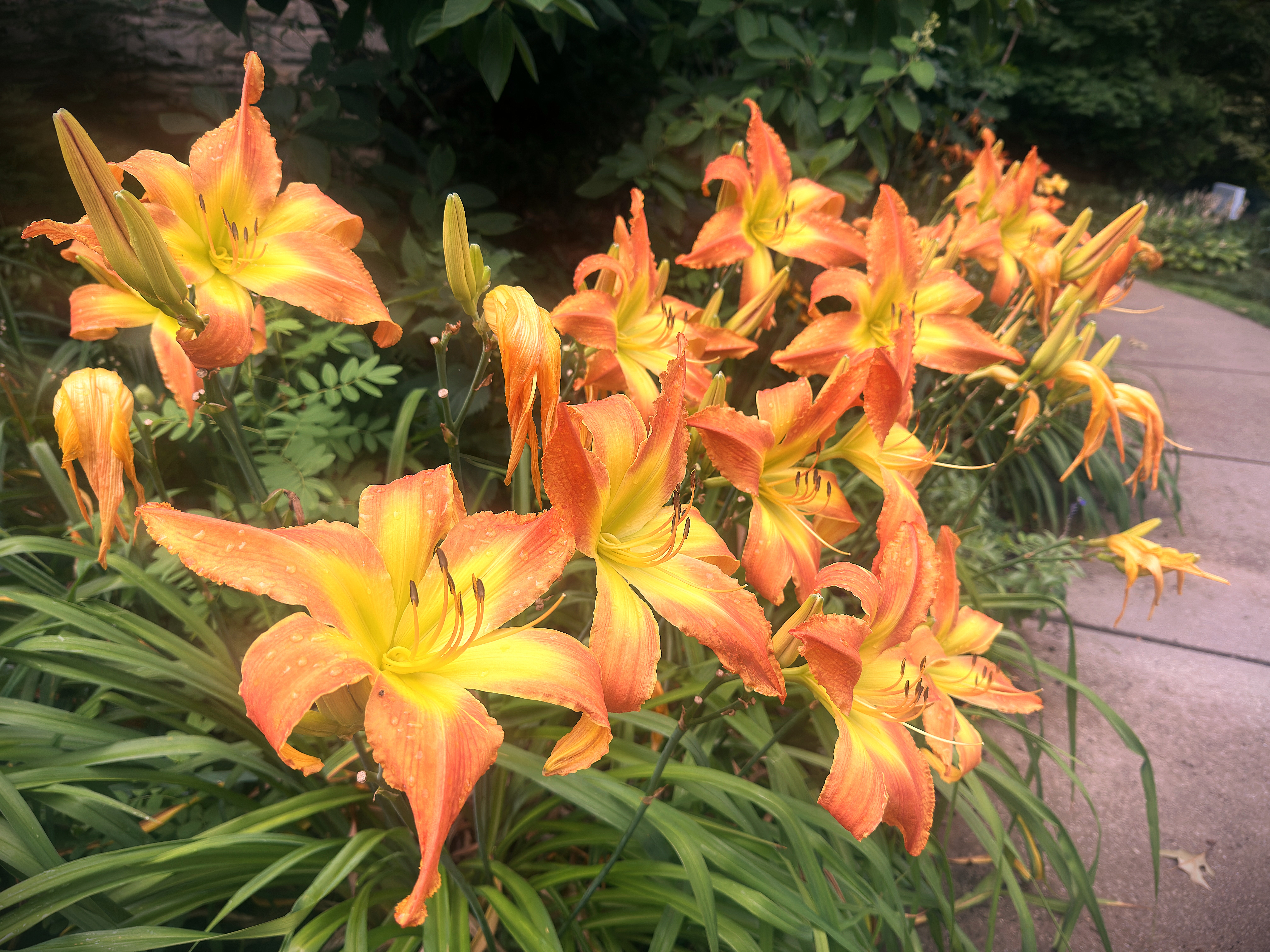Cleveland Botanical Garden