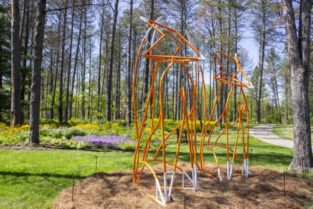 Forest Forms