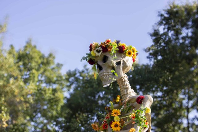 Skeleton Grove