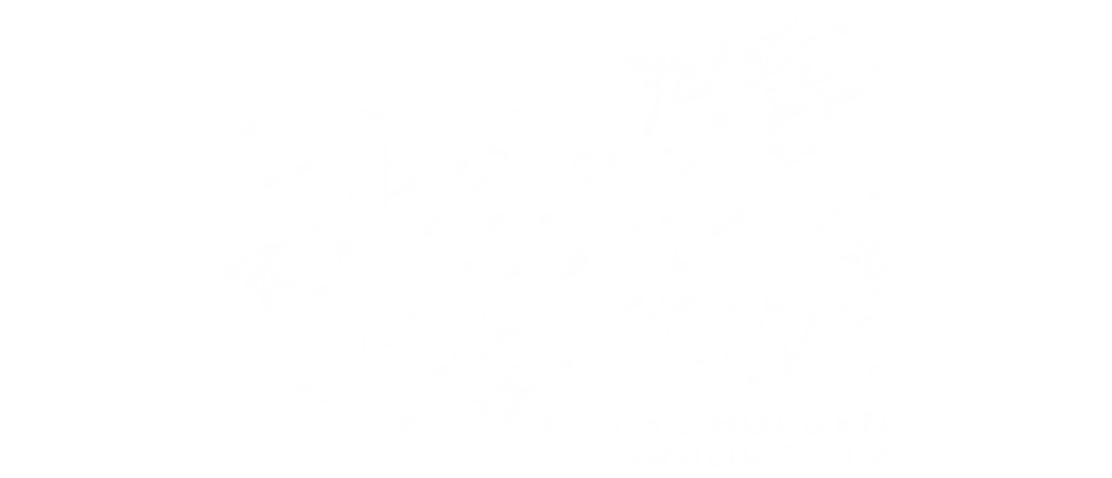 Skeleton Grove