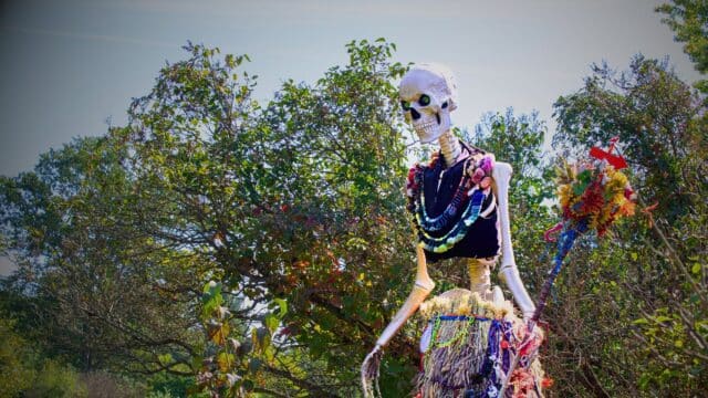 Skeleton Grove