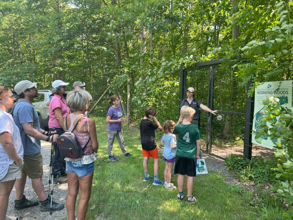 Working Woods Open House