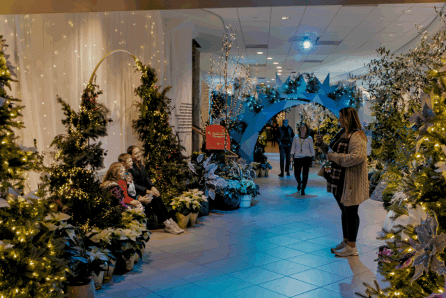 Frost: An Ice-Capped Garden Experience