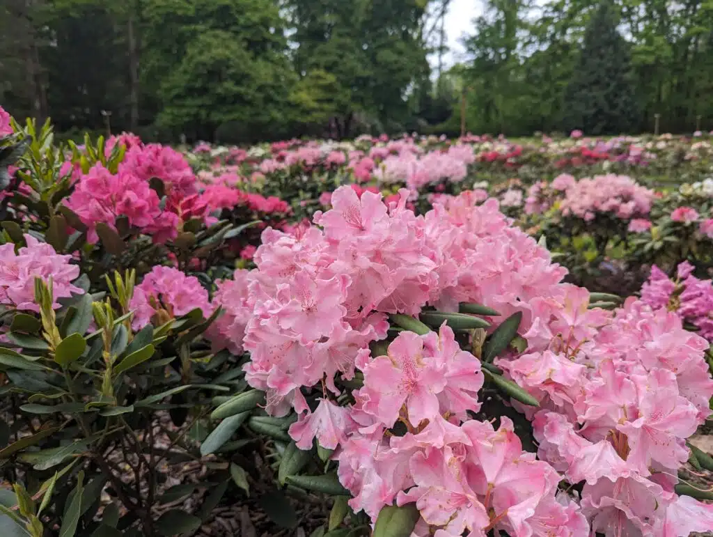 Deep Dive Tours at Leach Research Station