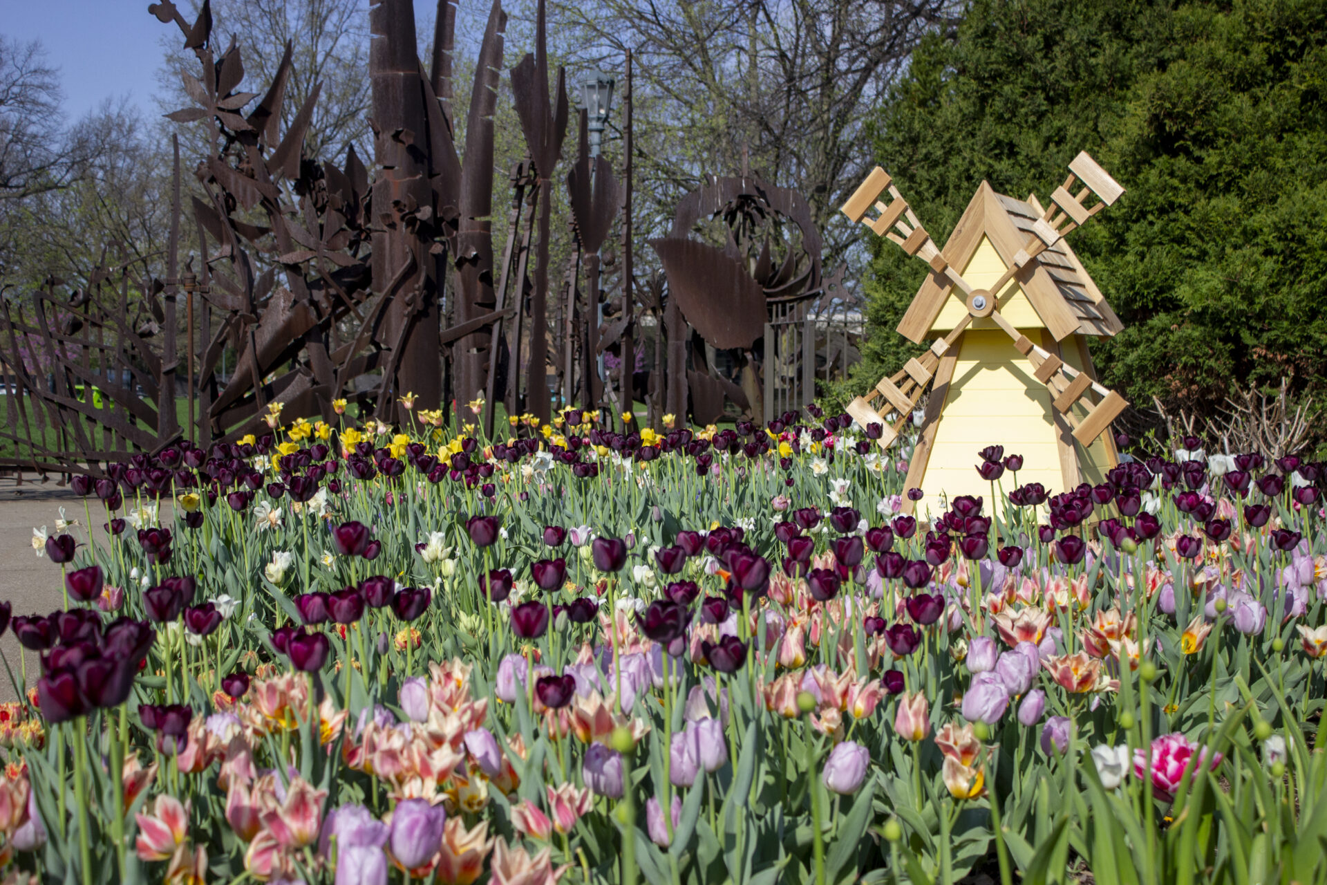 Cleveland Botanical Garden