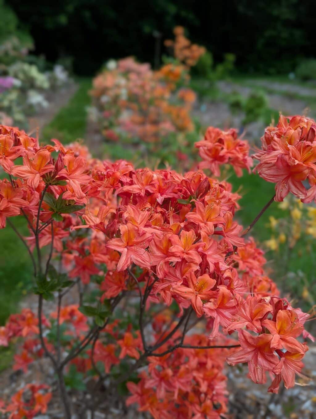 Memorial Day Weekend Open House @ Leach Research Station