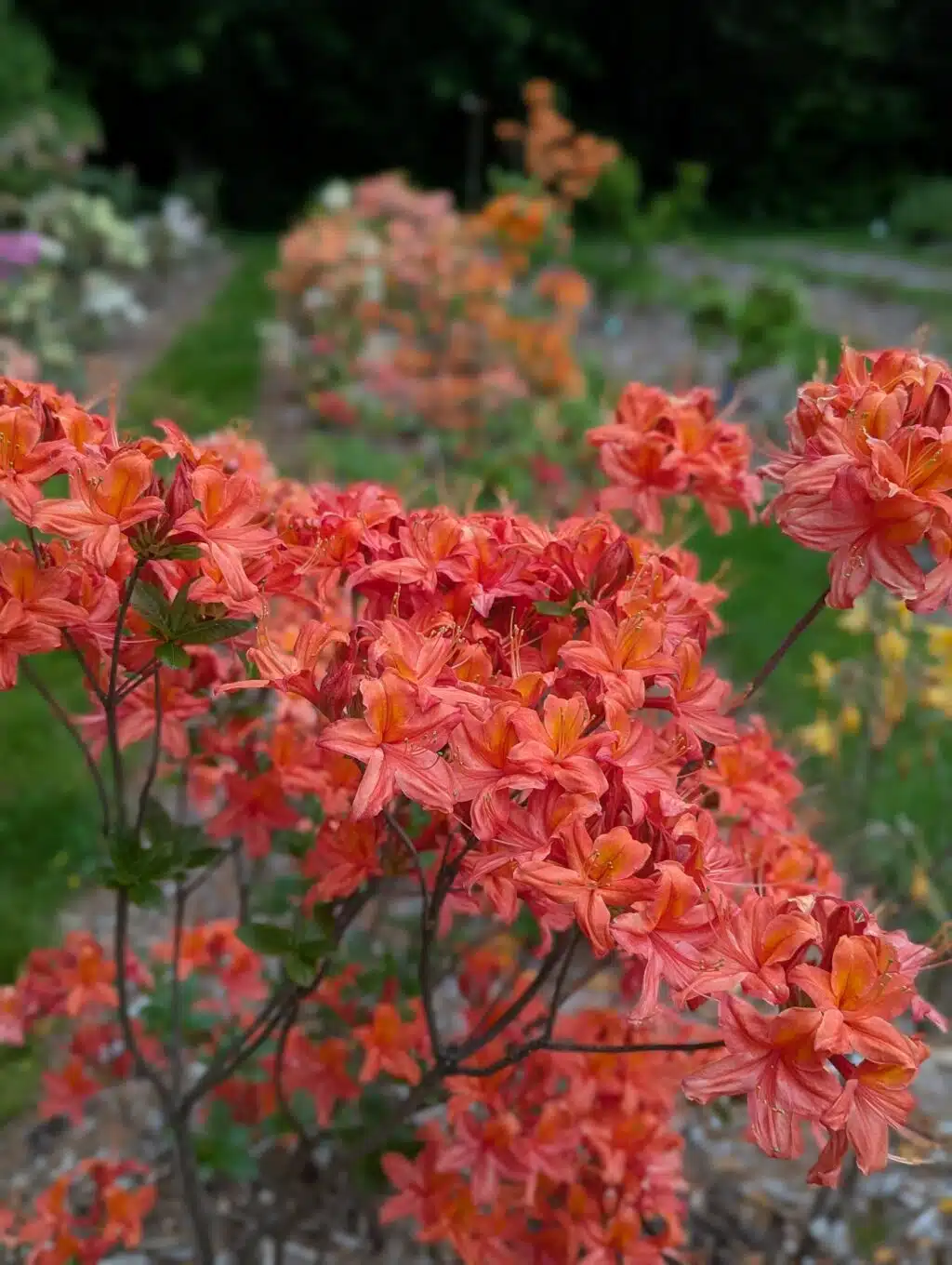Memorial Day Weekend Open House @ Leach Research Station