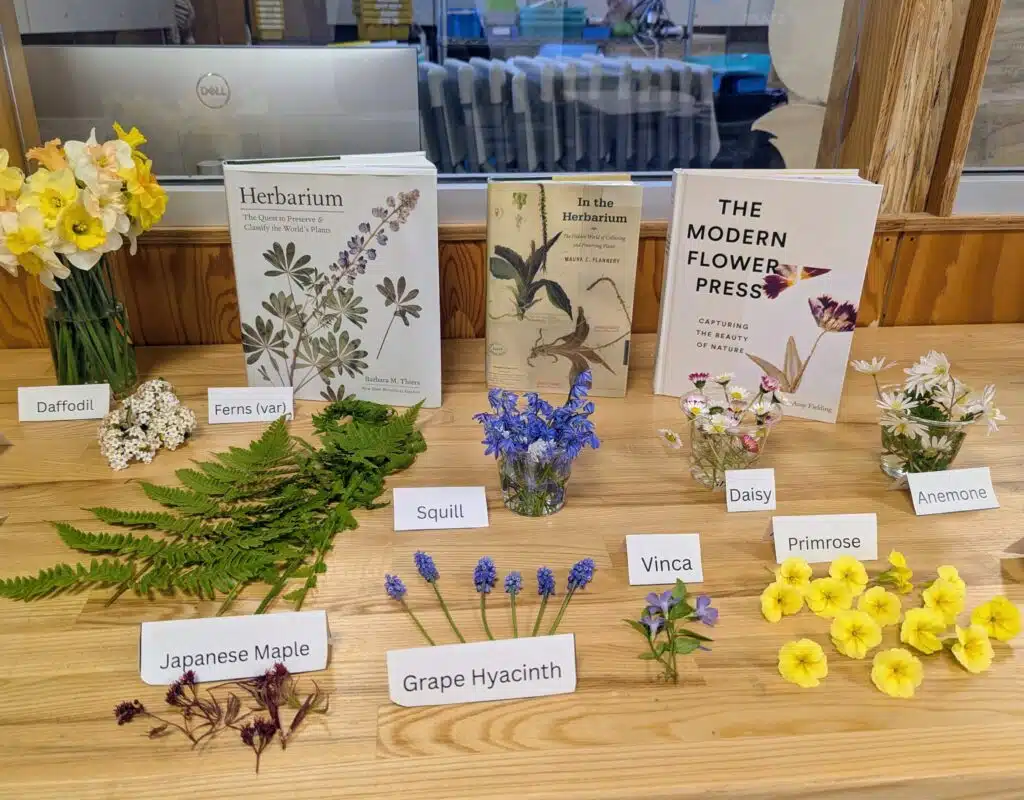 think[box] x Cleveland Botanical Garden: DIY Flower Press
