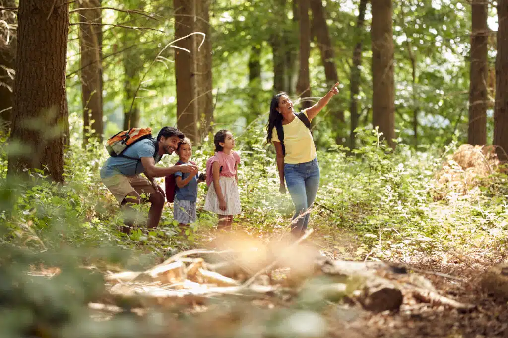 Little Sprouts Forest Bathing