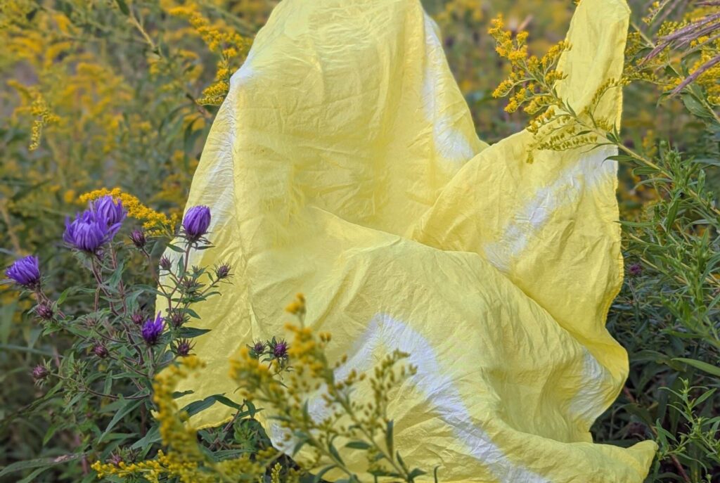 DIY Dye Drop-In with Praxis Fiber Workshop