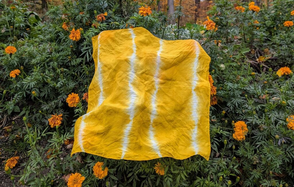 DIY Dye Drop-In with Praxis Fiber Workshop