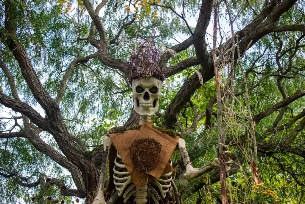 Skeleton Stroll & Sunset
